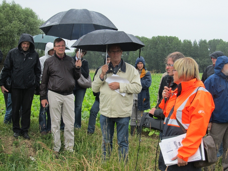 48_Visite a Onkerzele - Grammont.JPG